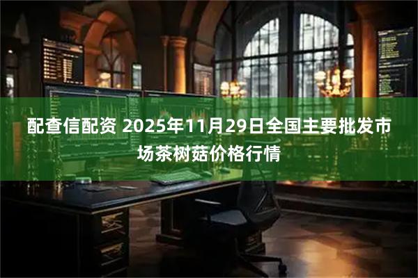 配查信配资 2025年11月29日全国主要批发市场茶树菇价格行情